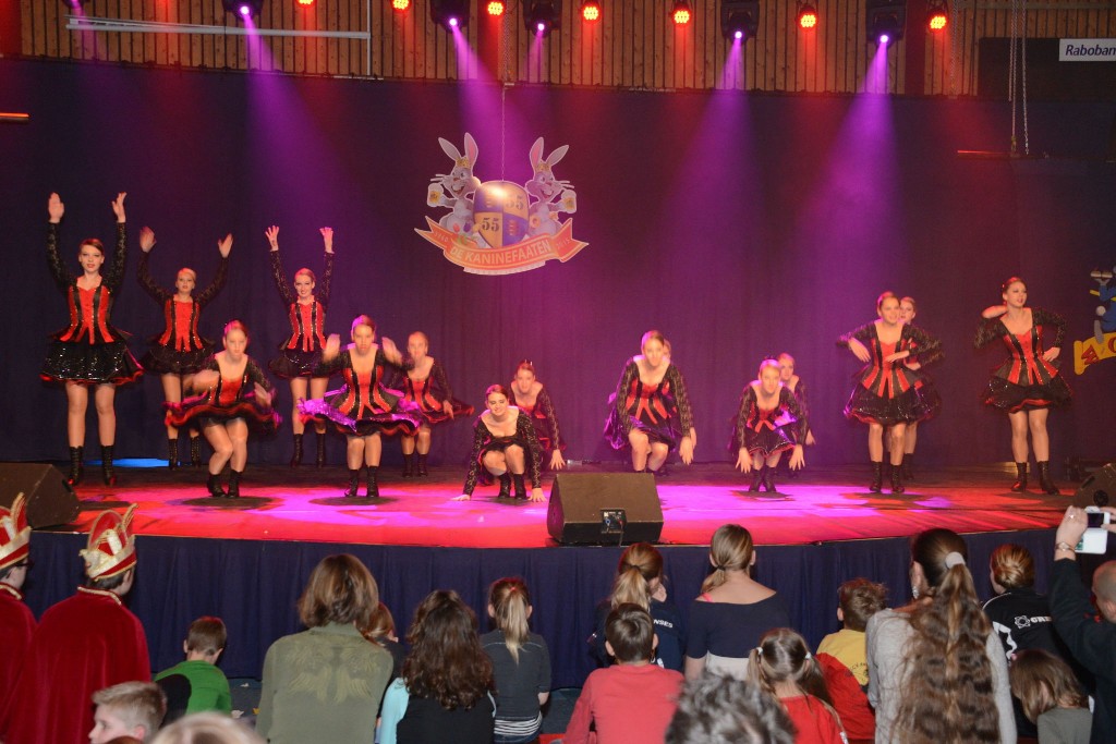 ../Images/Dansmarieke festival 2015 262.jpg